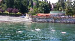 vacanze sul Lago Maggiore a Villanuvola: Meina